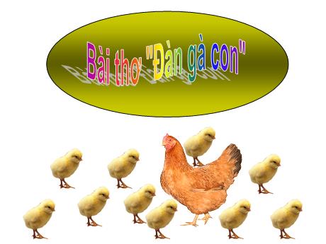 Bài giảng Bài thơ Đàn gà con