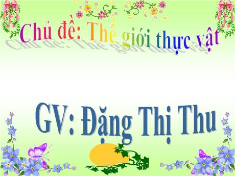 Bài giảng Chủ đề: Thế giới thực vật - Truyện quả bầu tiên
