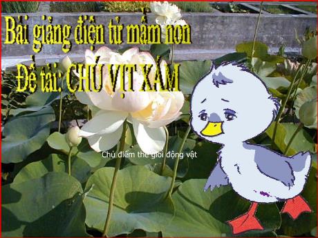 Bài giảng Chú vịt xám - Chủ điểm Thế giới động vật
