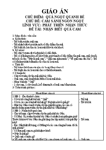 Giáo án Lĩnh vực: Phát triển nhận thức - Đề tài: Nhận biết quả cam