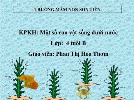 Bài giảng Mẫu giáo Lớp 4 tuổi - KPKH: Một số con vật sống dưới nước (Phan Thị Hoa Thơm)