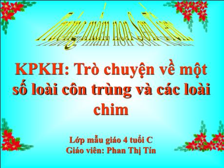Bài giảng Mẫu giáo Lớp 4 tuổi - KPKH: Trò chuyện về một số loài côn trùng và các loài chim (Phan Thị Tín)