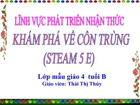 Bài giảng Mẫu giáo Lớp 4 tuổi - PTNT, KPKH: Khám phá về côn trùng (Thái Thị Thúy)