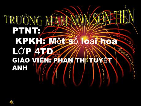 Bài giảng Mẫu giáo Lớp 4 tuổi - PTNT, KPKH: Một số loại hoa (Phan Thị Tuyết Anh)