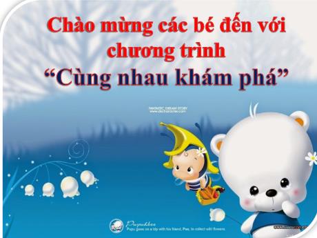 Bài giảng Mẫu giáo Lớp 4 tuổi - PTNT: Một số con vật nuôi trong gia đình (Nguyễn Thị Phi Nga)