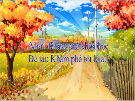 Bài giảng Giáo án Lớp MG 3 tuổi - KPKH, Đề tài: Khám phá tôi là ai?