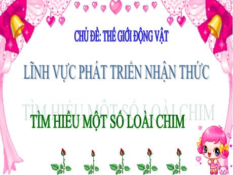 Bài giảng Giáo án Lớp MG 3 tuổi - PTNT, Chủ đề: Thế giới động vật - Tìm hiểu một số loài chim