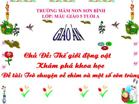 Bài giảng Giáo án MG Khối 5 tuổi - KPKH, Chủ đề: Thế giới động vật - Đề tài: Trò chuyện về chim và một số côn trùng