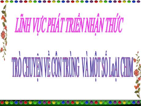 Bài giảng Mẫu giáo 4 tuổi B - PTNT: Trò chuyện về côn trùng và một số loại chim