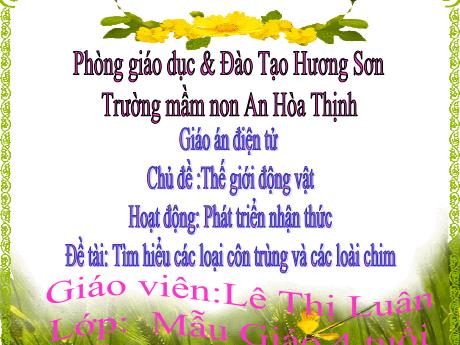 Bài giảng Mẫu giáo 4 tuổi C - PTNT, Chủ đề: Thế giới động vật - Đề tài: Tìm hiểu các loại côn trùng và các loài chim