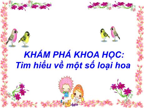 Bài giảng Mẫu giáo 5 tuổi B - KPKH: Tìm hiểu về một số loại hoa