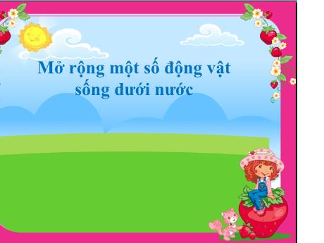 Bài giảng Mẫu giáo 5 tuổi B - Mở rộng: Một số động vật sống dưới nước