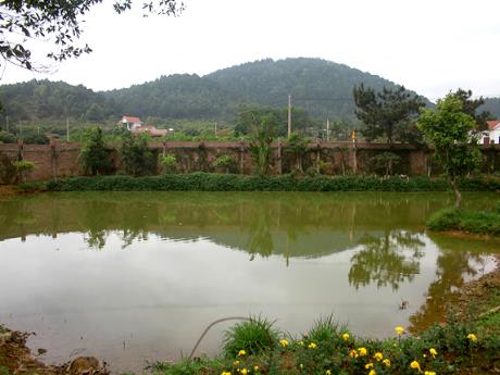 Giáo án Mẫu giáo 5 tuổi - Ao cá, động vật sống dưới nước