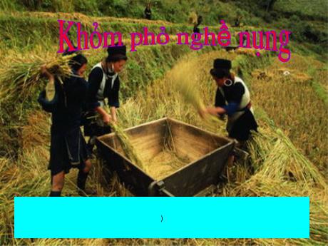 Bài giảng Lớp Lá - Khám phá nghề nông