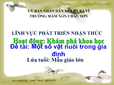 Bài giảng Lớp Lá - Phát triển nhận thức - Đề tài: Một số vật nuôi trong gia đình
