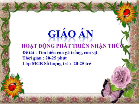 Bài giảng Lớp Mầm - Phát triển nhận thức - Đề tài: Tìm hiểu con gà trống, con vịt