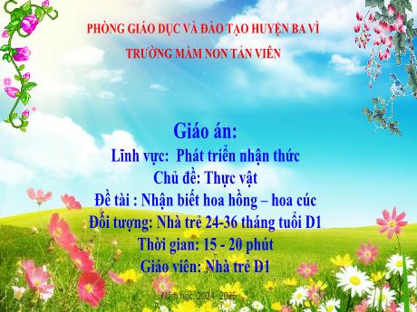 Bài giảng Lớp Nhà trẻ - Phát triển nhận thức - Chủ đề: Thực vật - Đề tài: Nhận biết hoa hồng - Hoa cúc - Năm học 2024-2025
