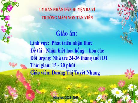 Bài giảng Lớp Nhà trẻ - Phát triển nhận thức - Đề tài: Nhận biết hoa hồng - Hoa cúc - Năm học 2024-2025 - Dương Thị Tuyết Nhung